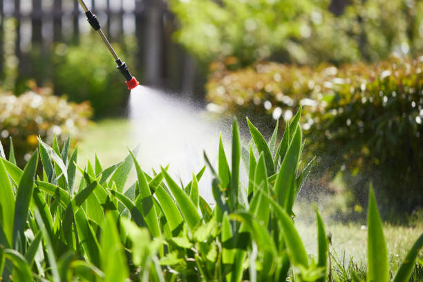 24/7 Emergency Wasp Removal experts in St. Clair, MI