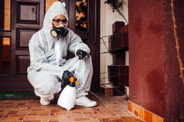 Reliable Wasp Removal contractor in St. Clair, MI by Show Me Pest Control